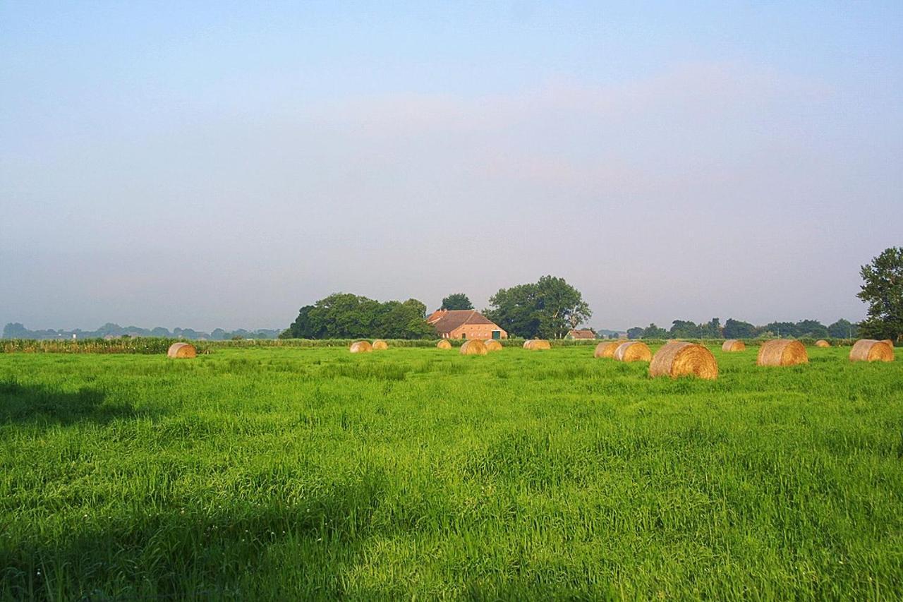 Ferienwohnungen Haus Westwind Bensersiel Buitenkant foto